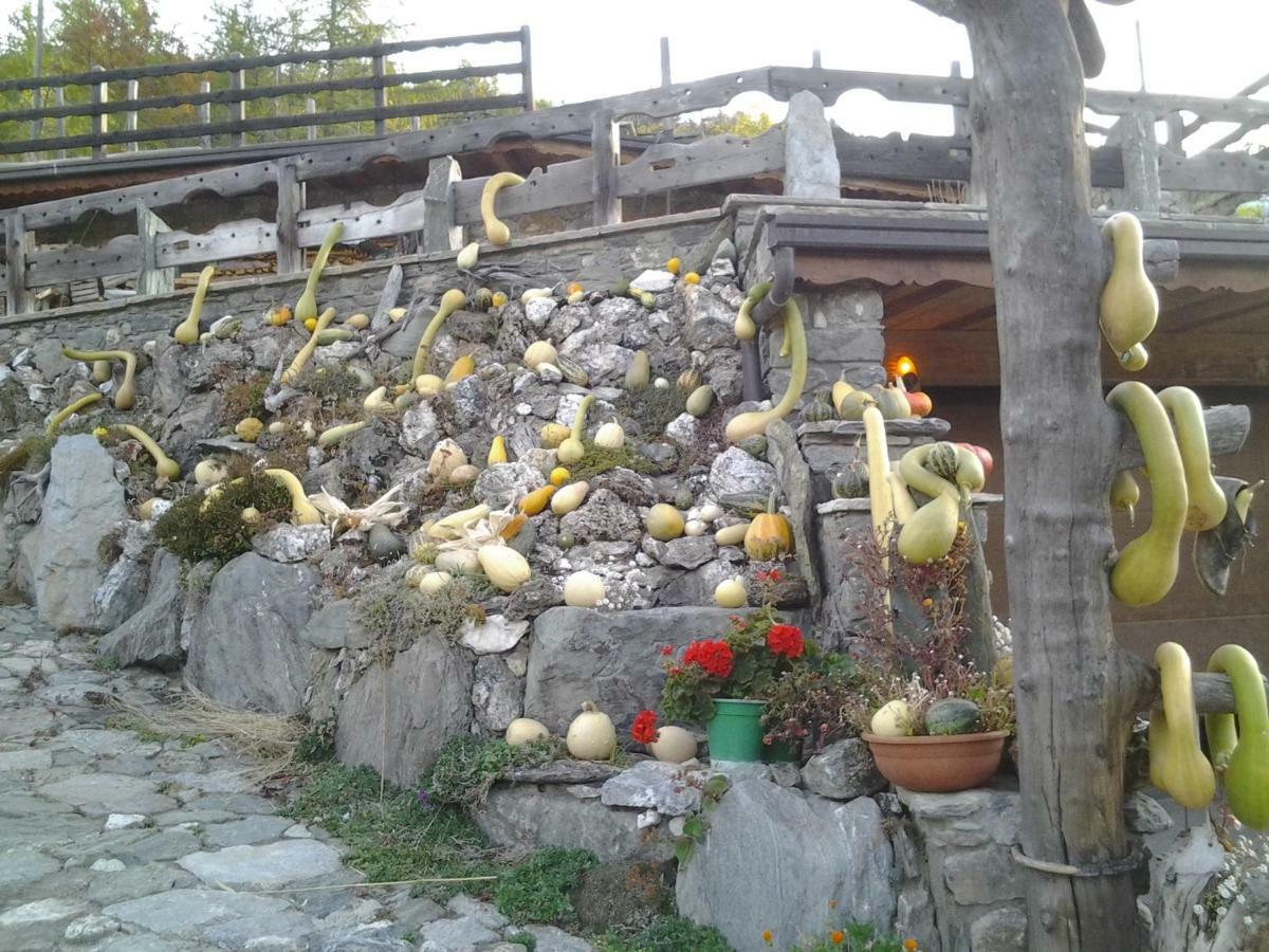 Maison De Frein 알레인 외부 사진